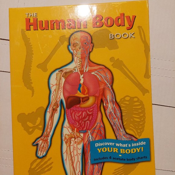 The Human Body Book - Picture 1 of 7